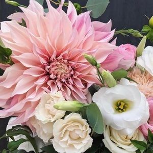 Meet your Posher, Kristen